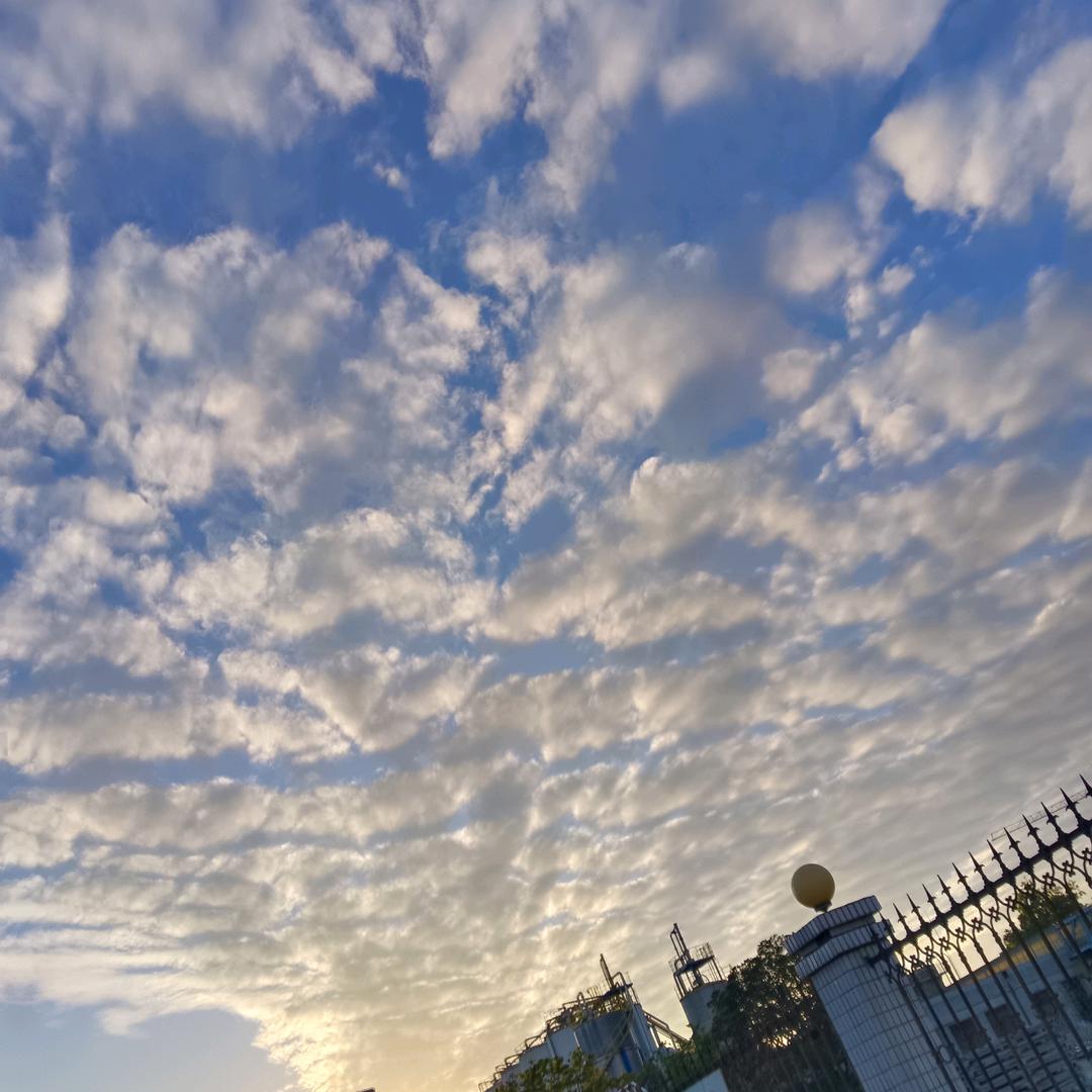 柠檬加冰 🍋🧊