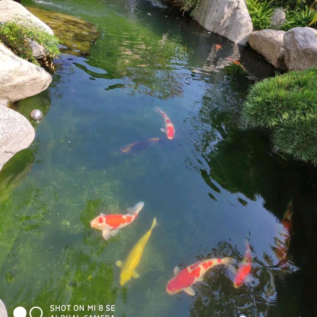 陕西神木煤炭,内蒙鄂尔多斯煤炭