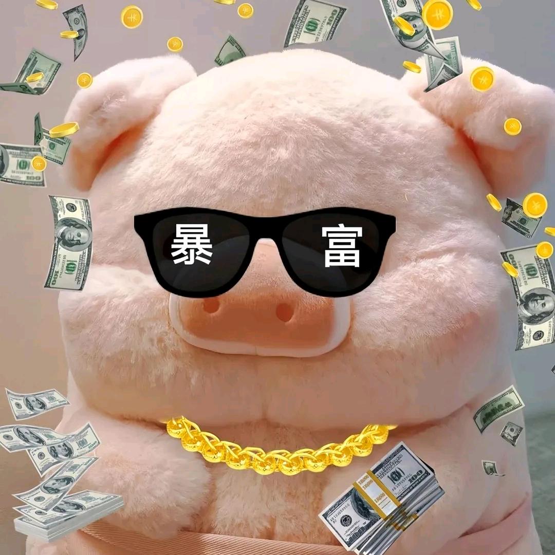 一只🐷.