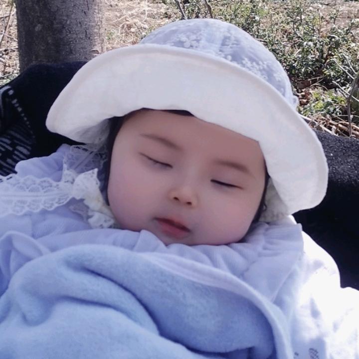 小鱼儿