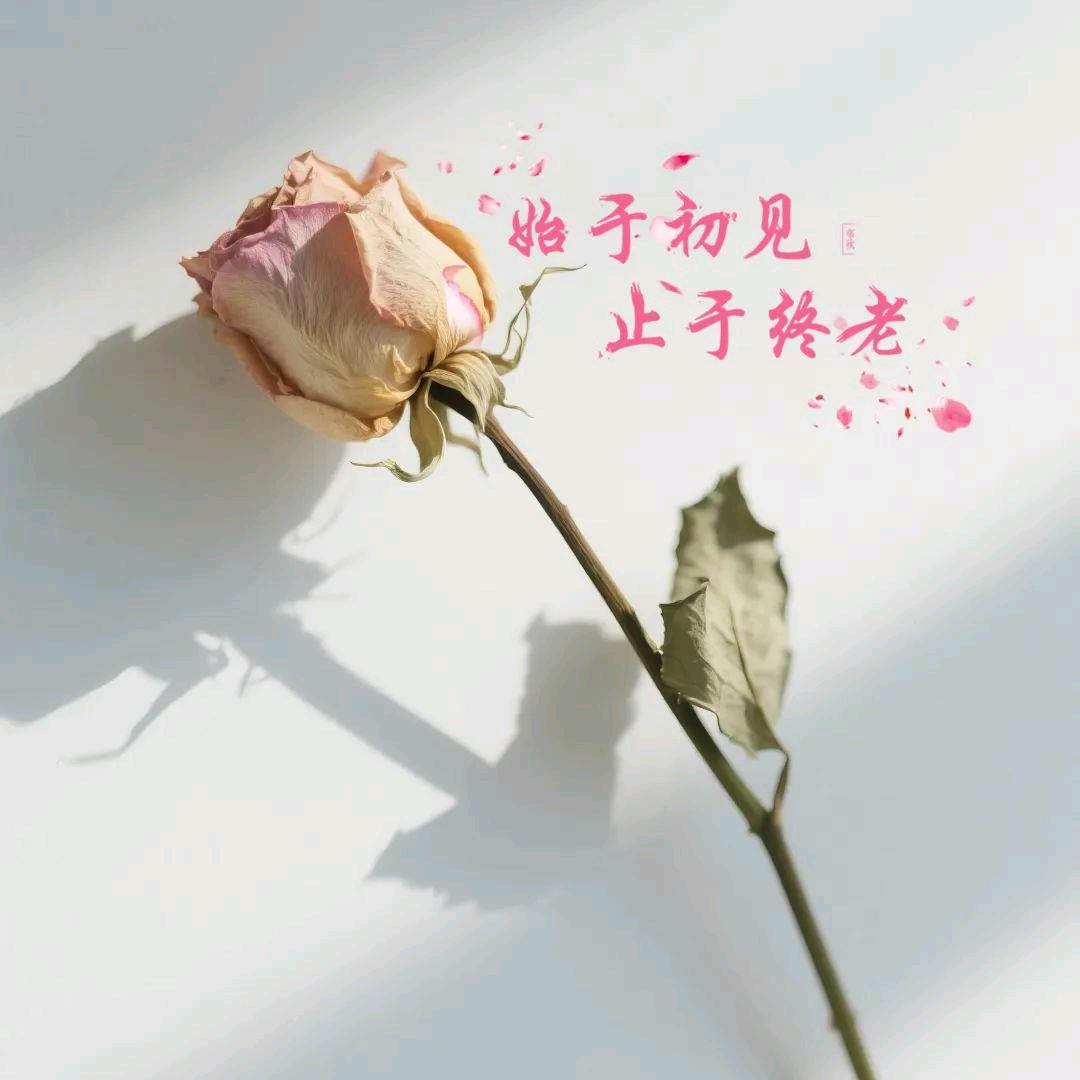 ٩(๛赵  妮 妮 ˘ ³˘)۶❤