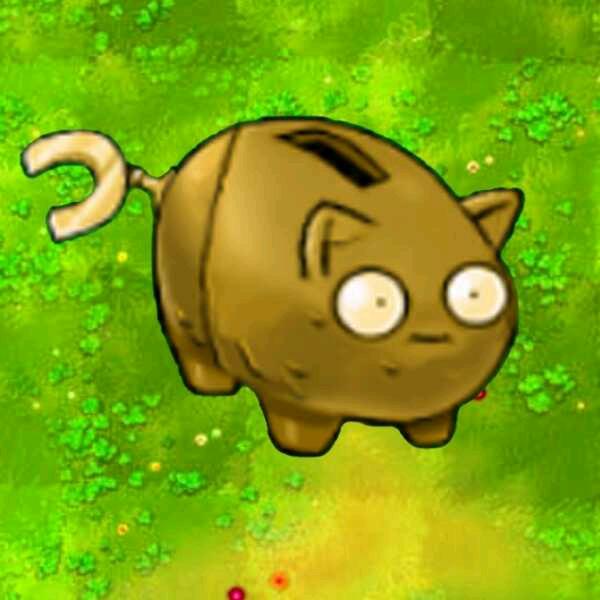 呆呆