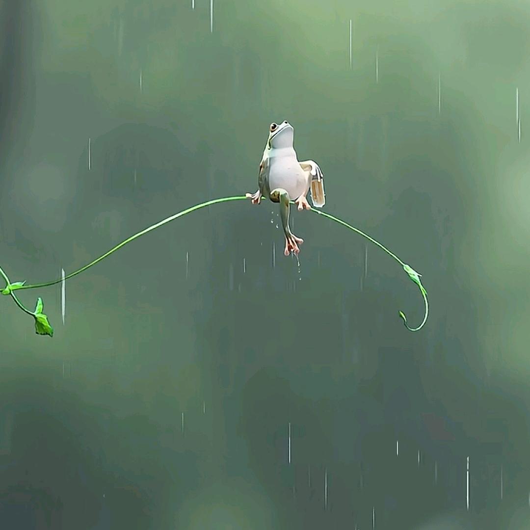 陈先生