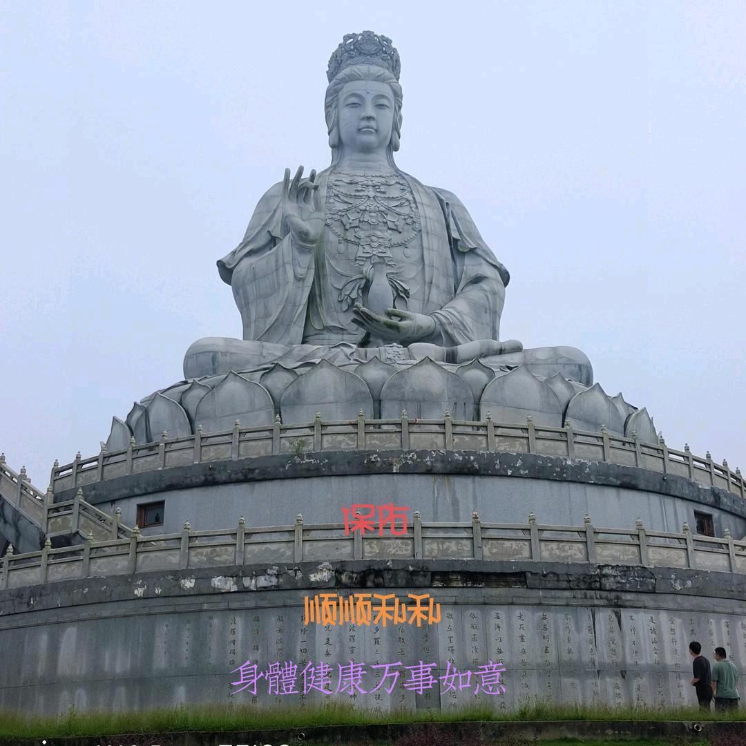 空🇨🇳蕊🇨🇳菜