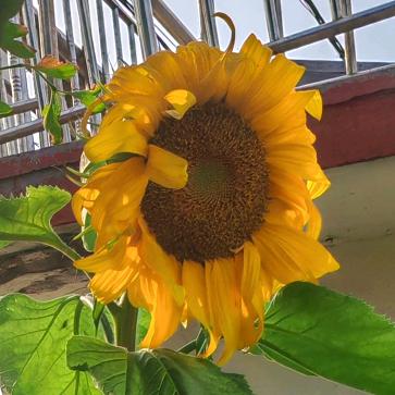 威海铁霖商贸有限公司