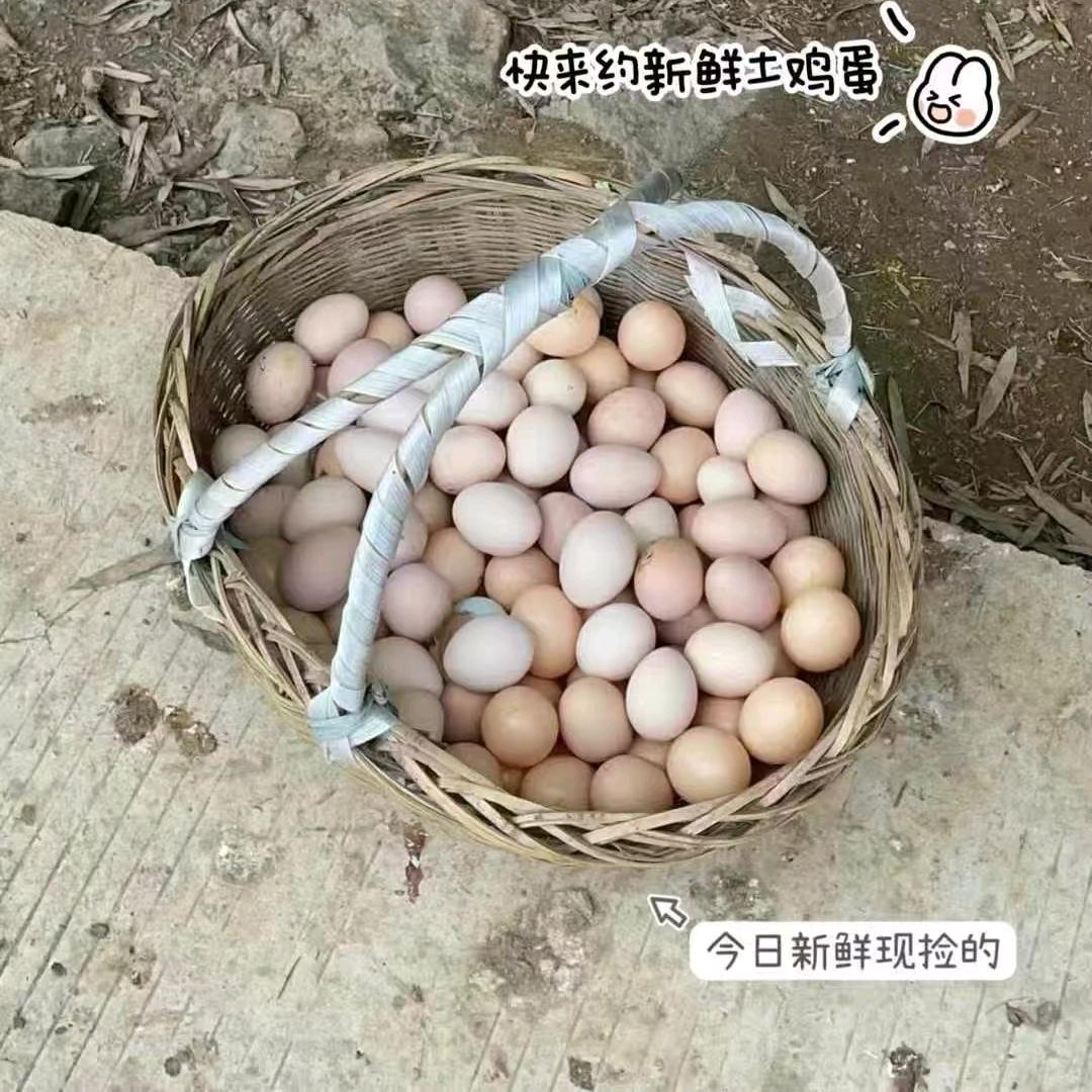 小熊熊🍒自家农场🐾8013
