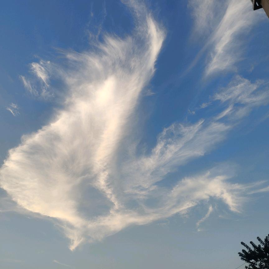 小可爱们的爸爸👨