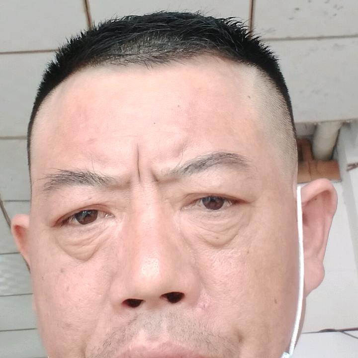 赵氏家族