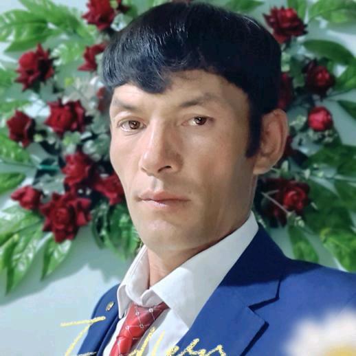 阿力木江。图尔荪-2251