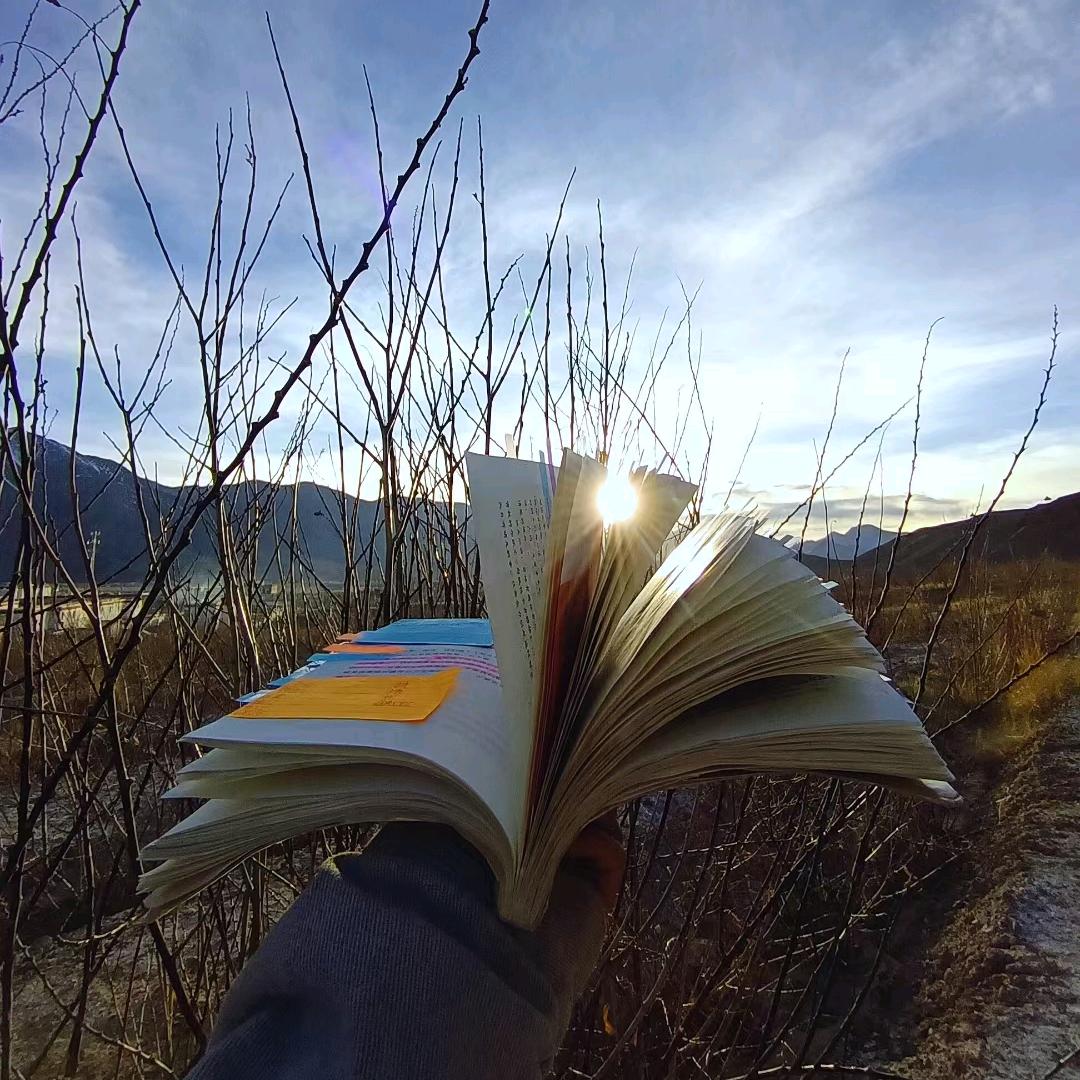 抬头就是前途📚