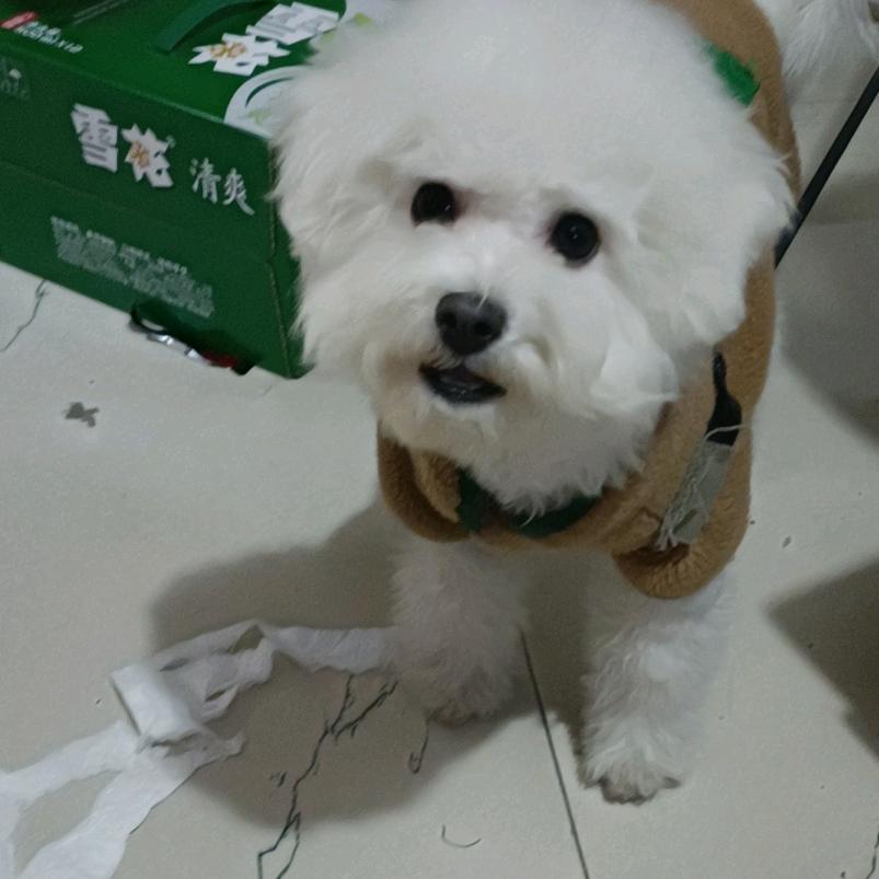 大港