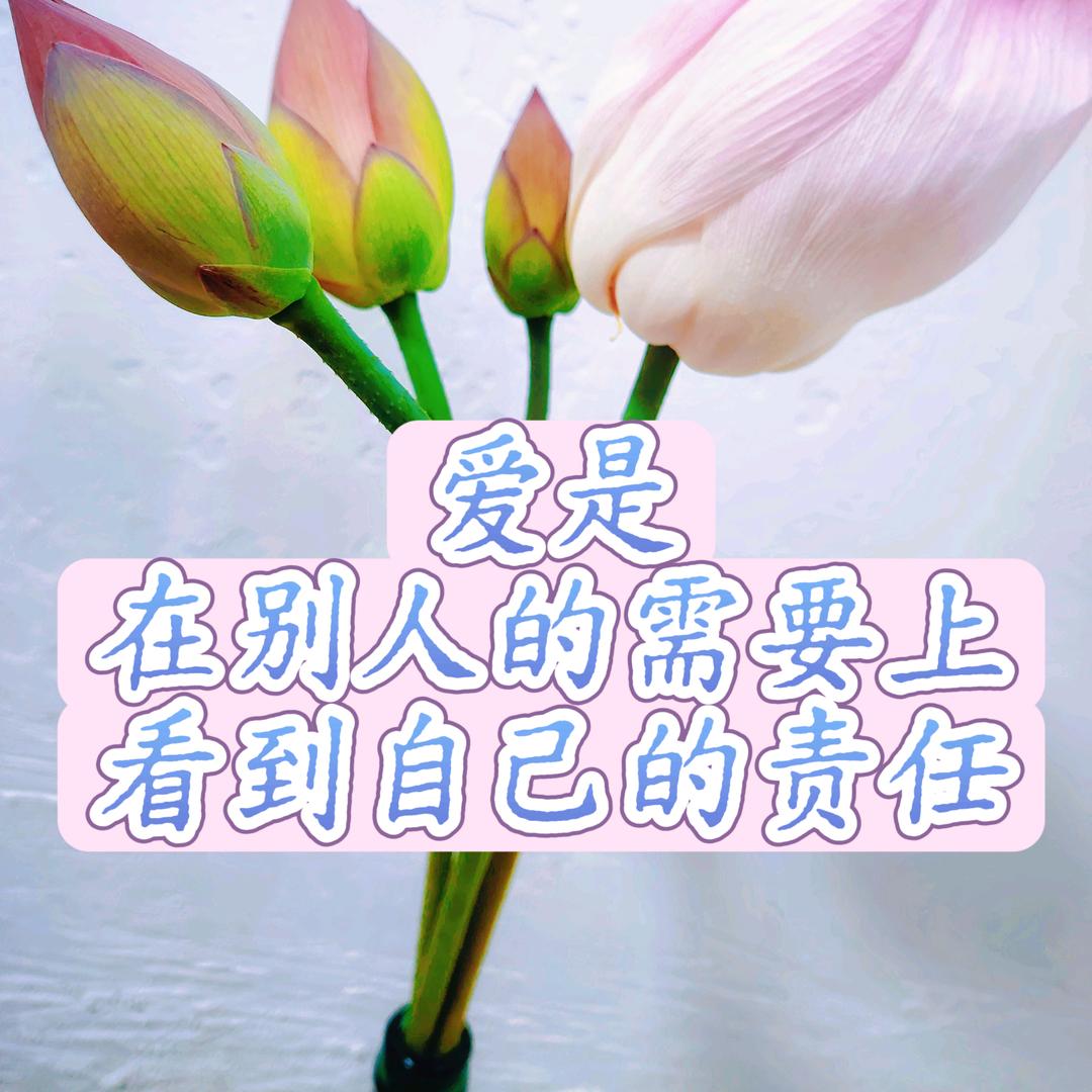 乐乐姐姐教英语