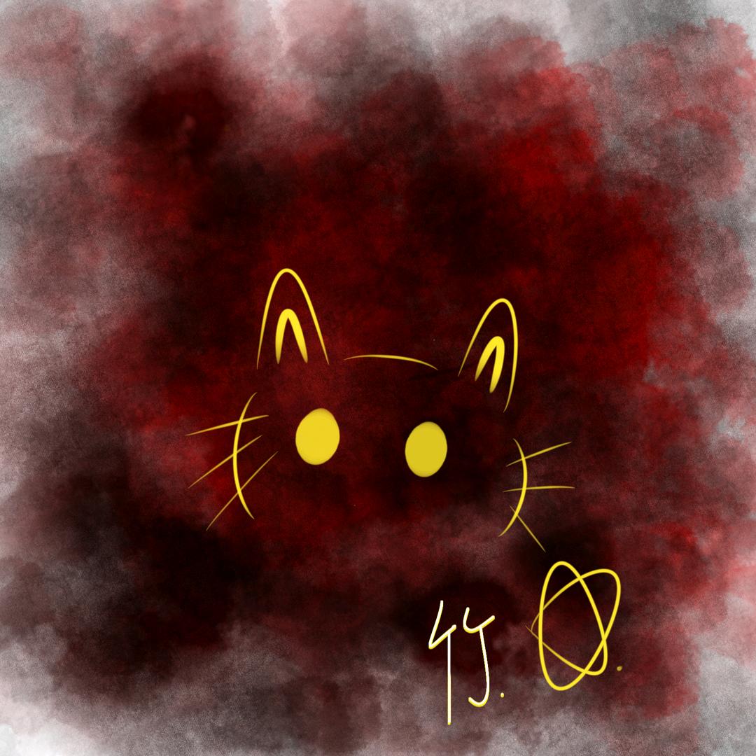 楠竹不是竹子（我掉了一个粉丝）