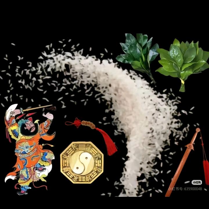 没义务给抖猪开智