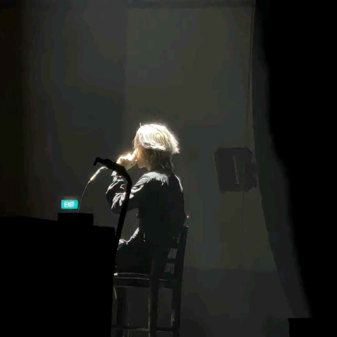 鲨鱼角