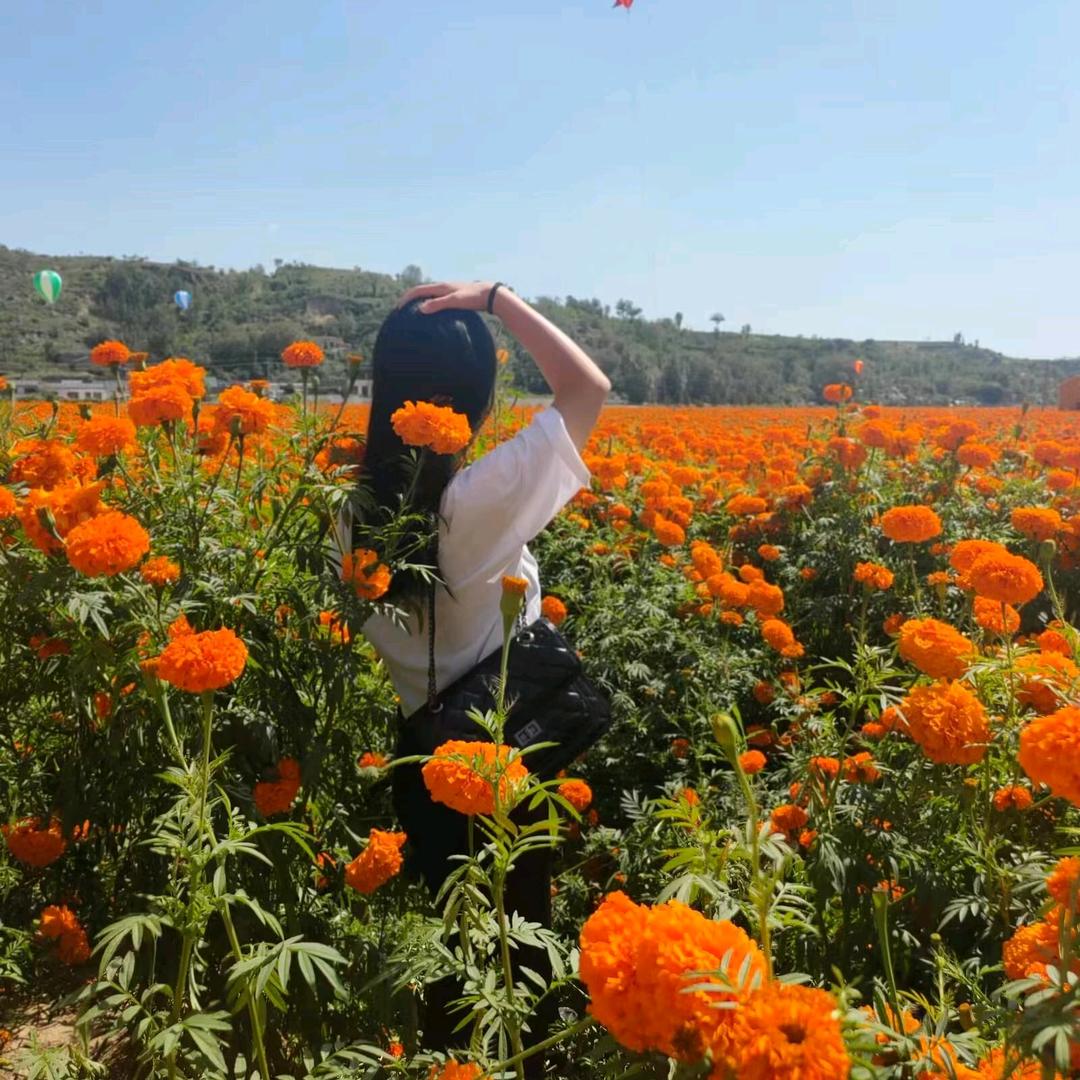 用户4956607892852杜康