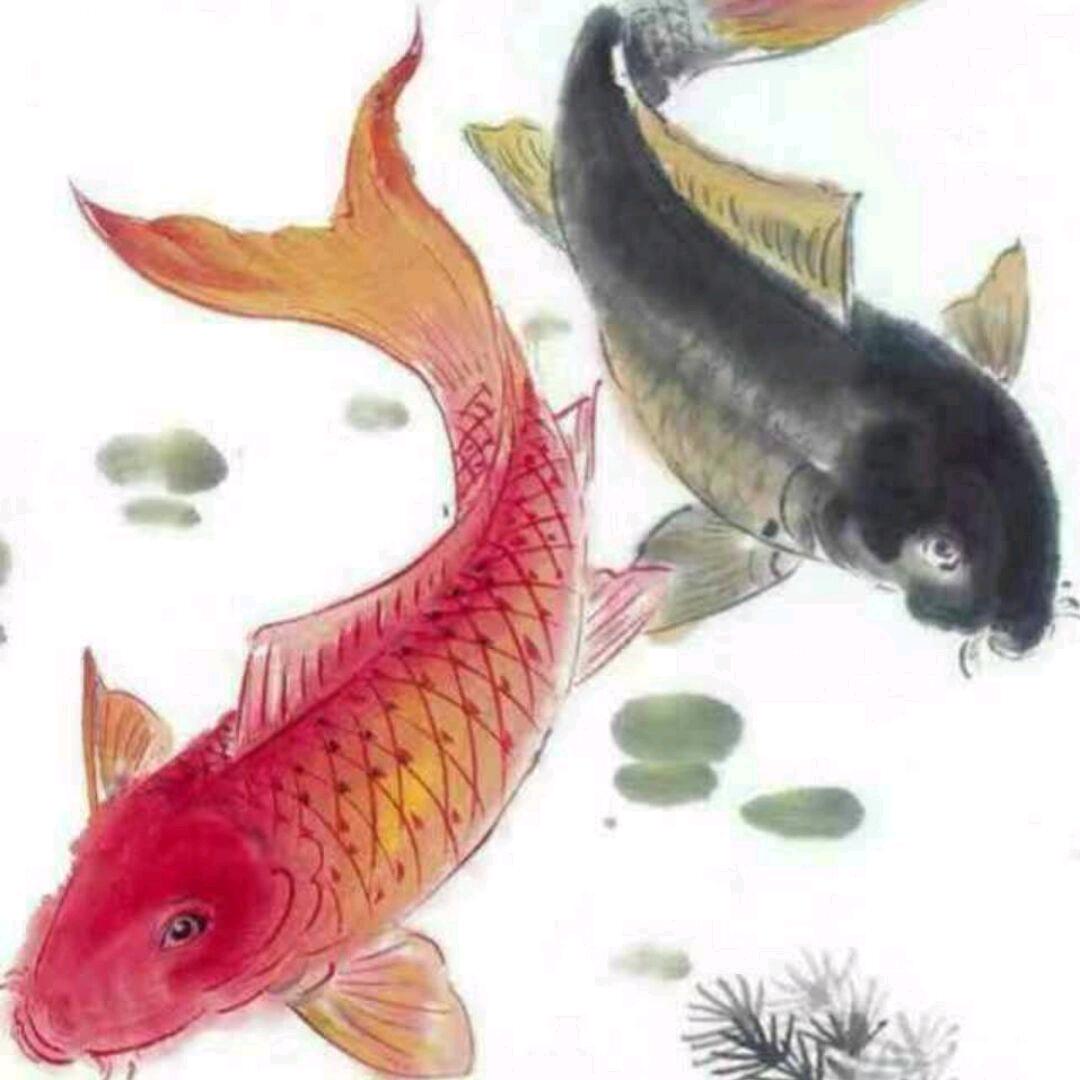 沈丘县金玉缘