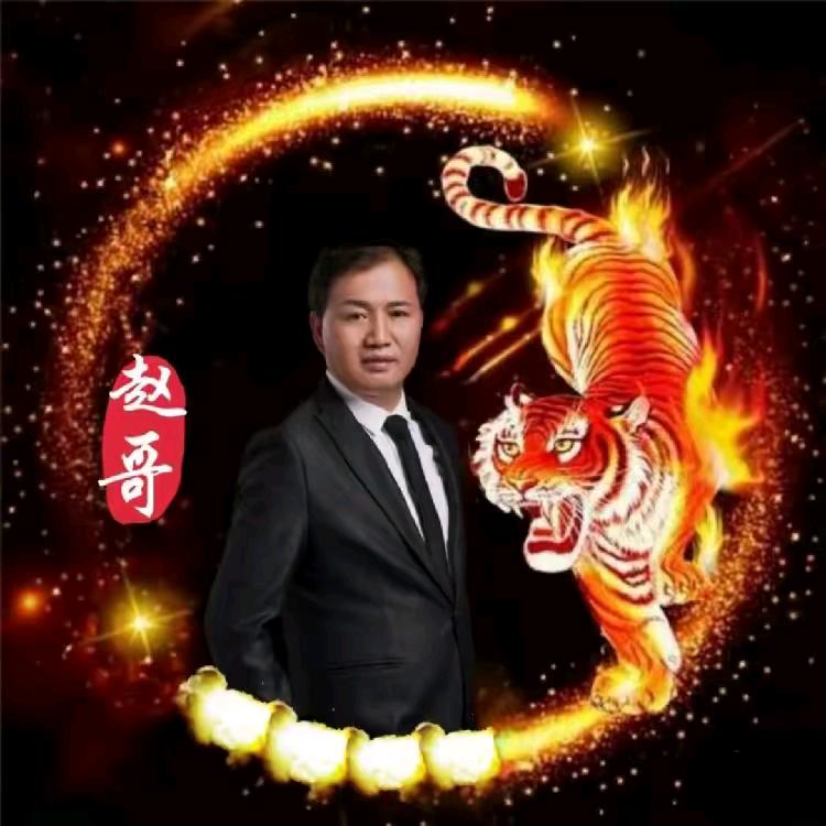 赵哥短剧