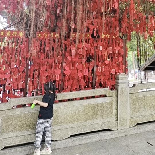 小恐龙