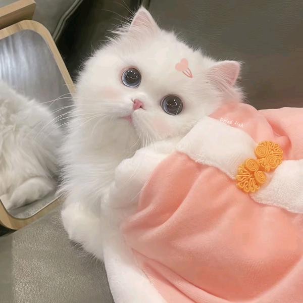 yu妮