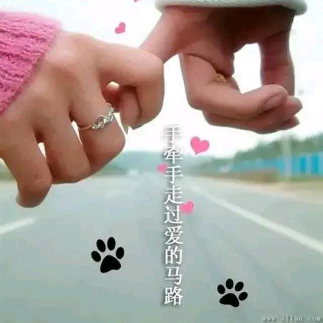 我想看花开天下