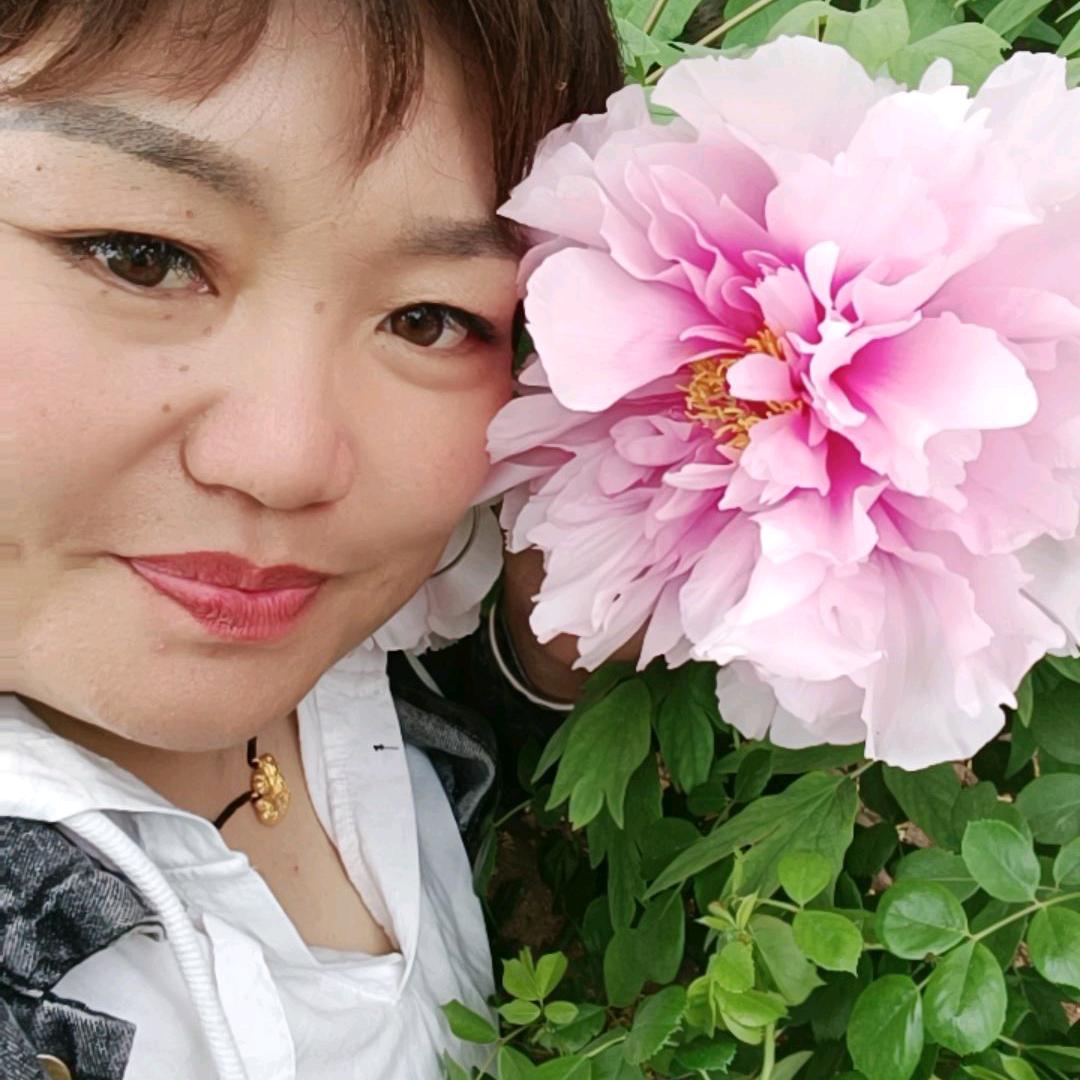 胖胖的我