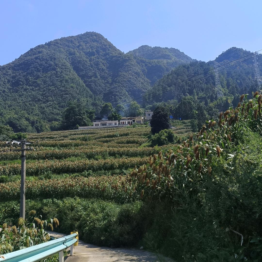 郭二妹