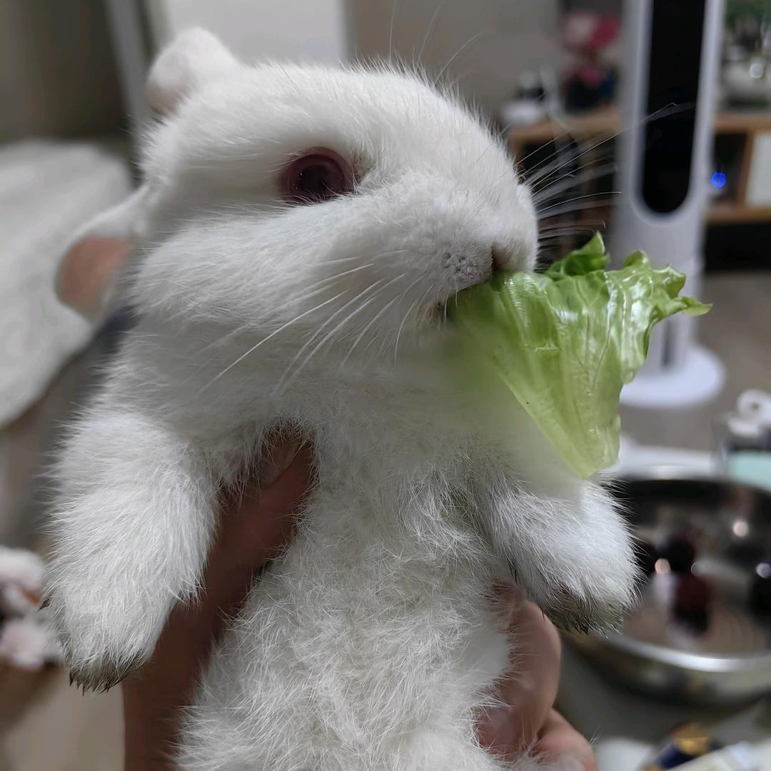 龙哥复盘笔记