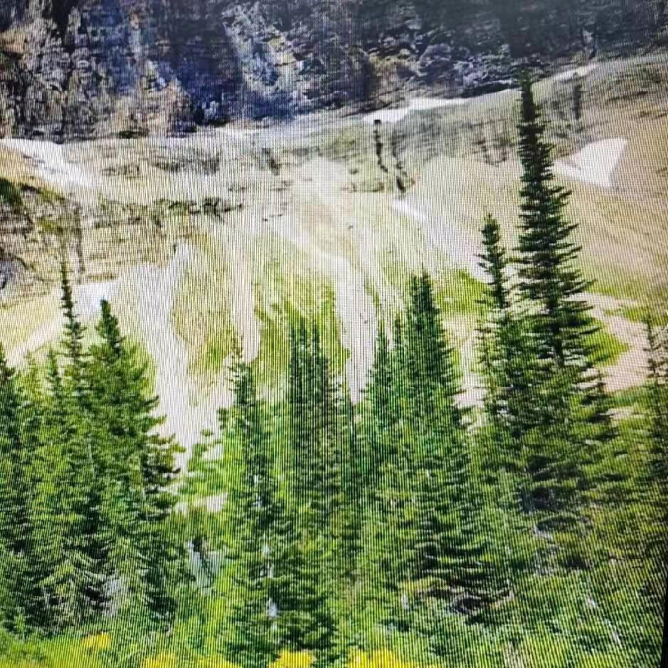 从此永远有个你