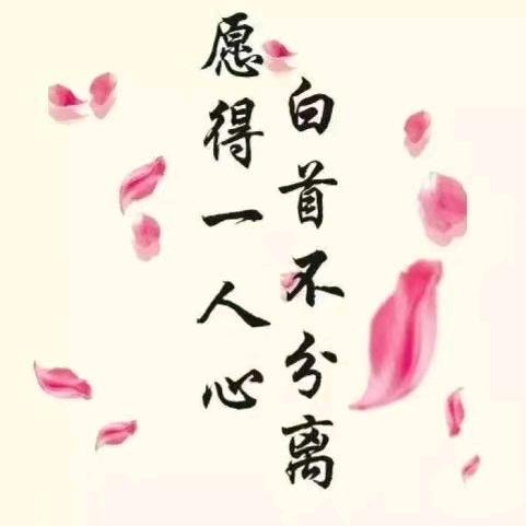 节节高
