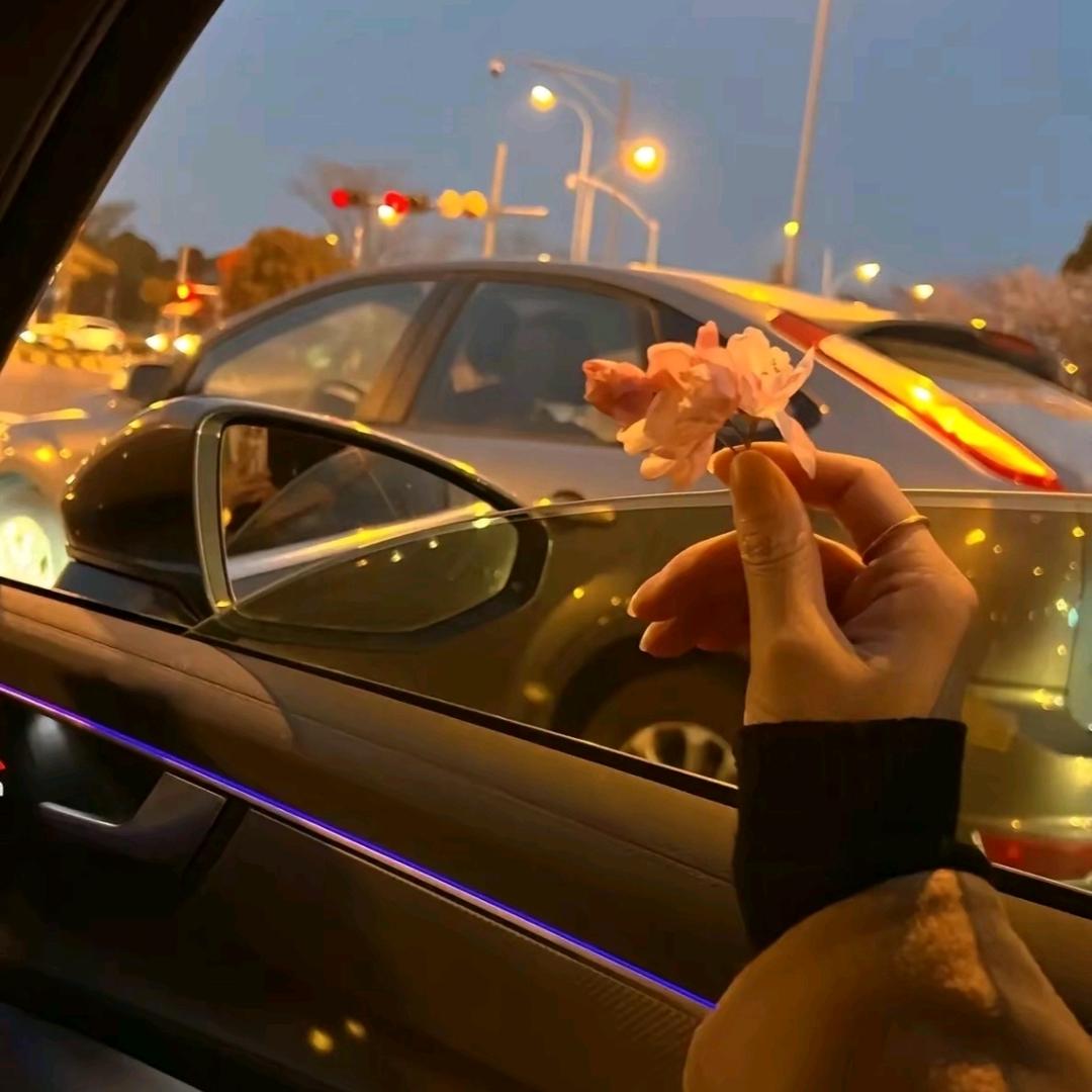 慧慧来了😜