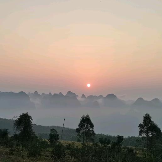 向阳而生🇨🇳