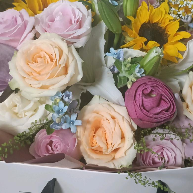 黄粱一梦梦真香