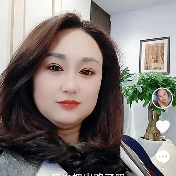 若依