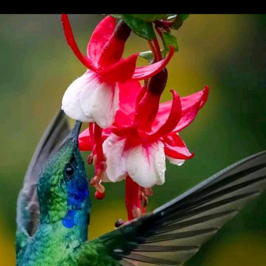 🚬濃煙伴烈酒🍶