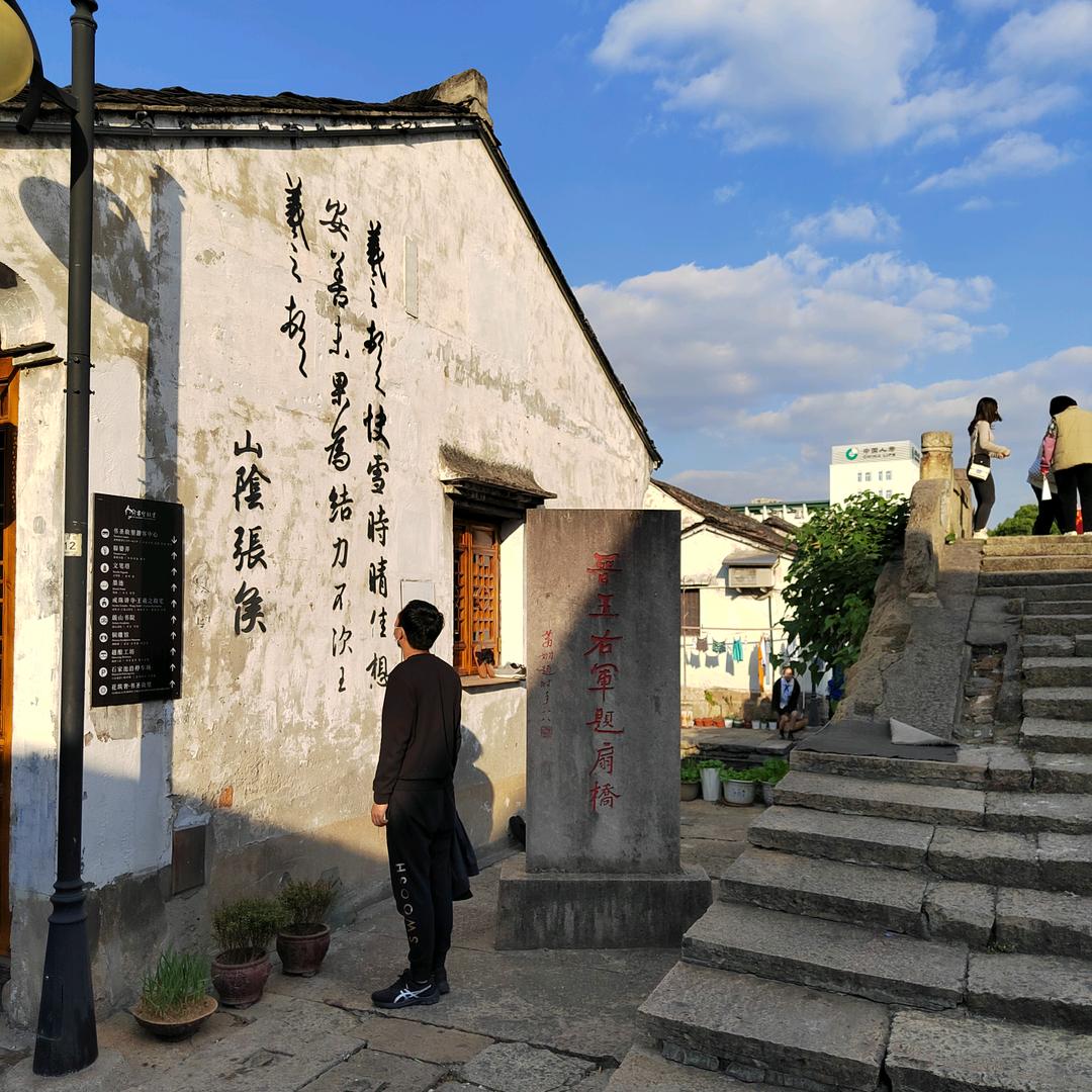 蓝桉
