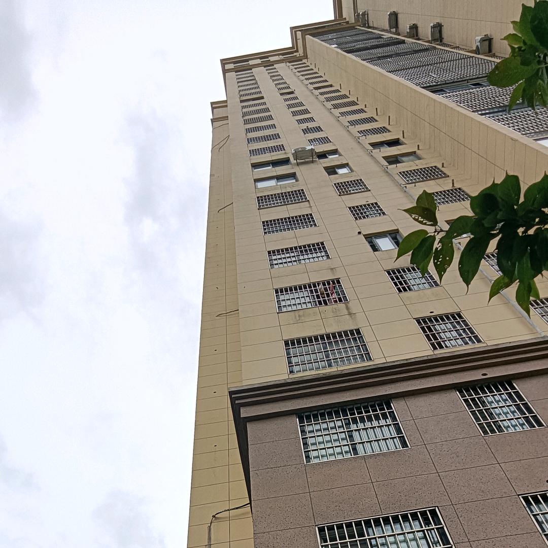 小清新思慕山茶，一