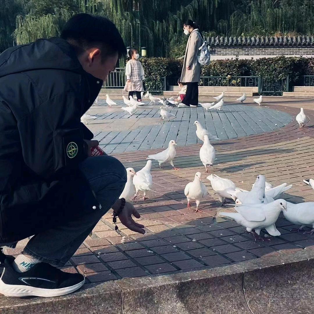 小厨胜小肚