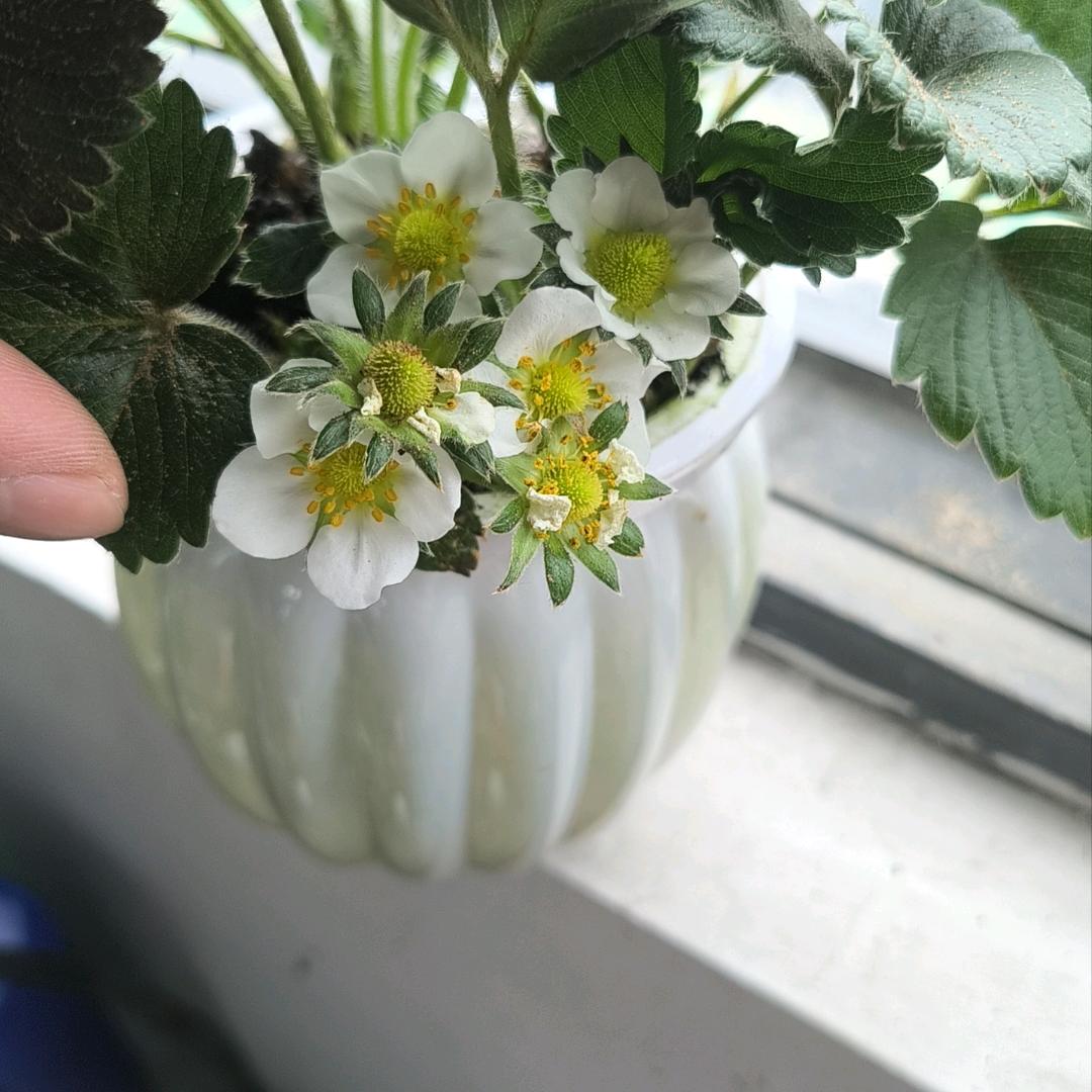 君运优品企业店