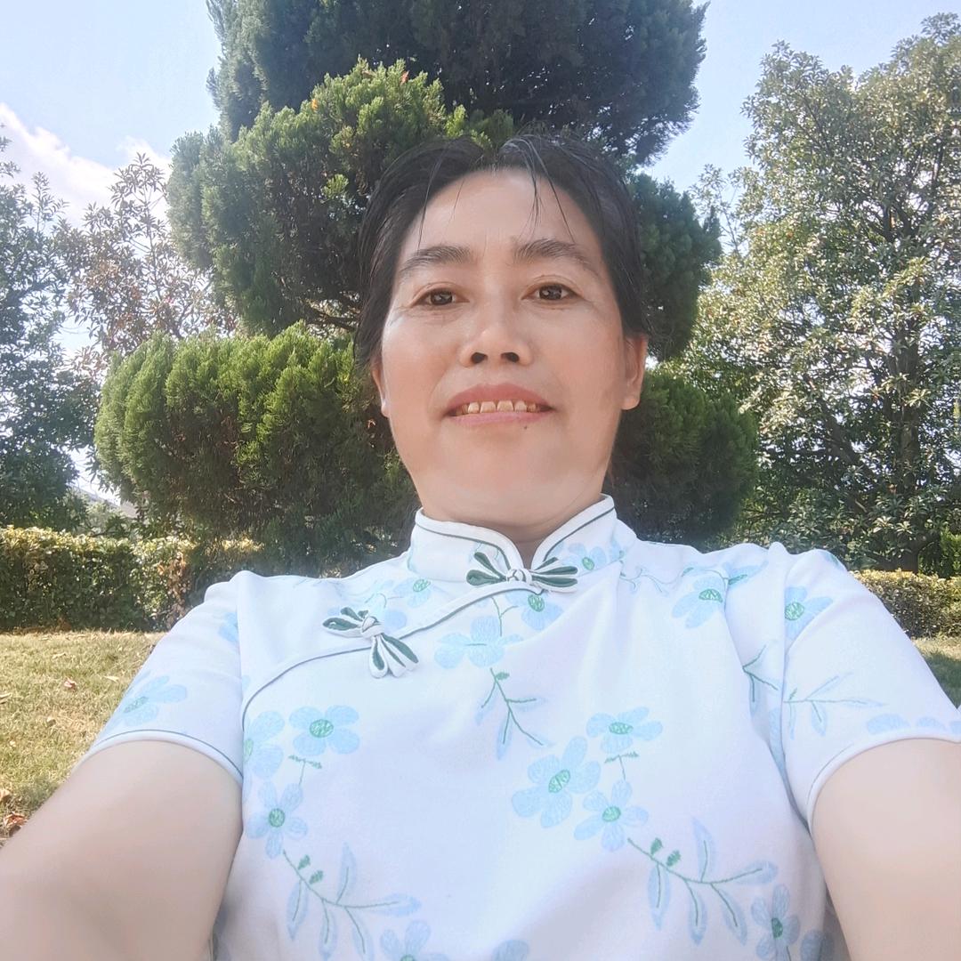 周菊