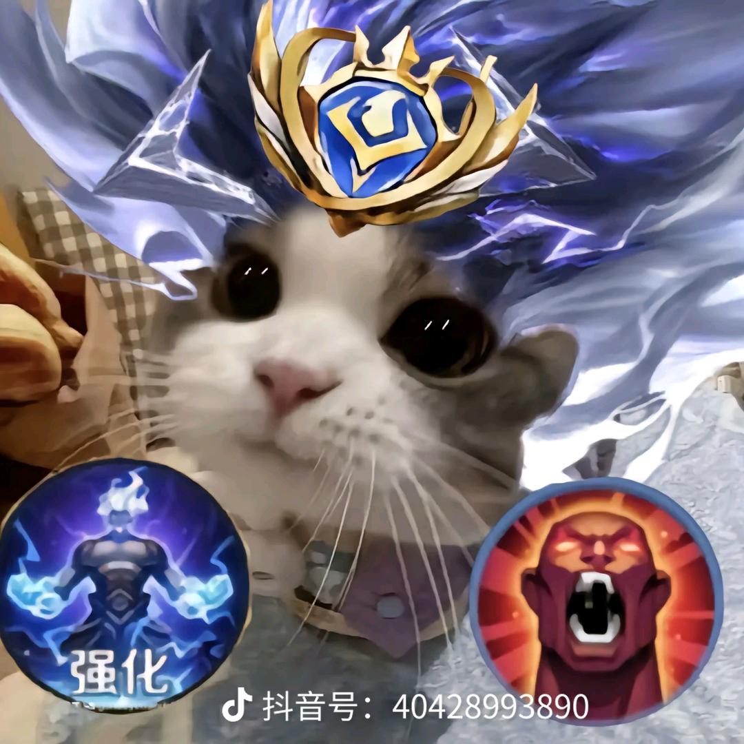 眼睛起了雾