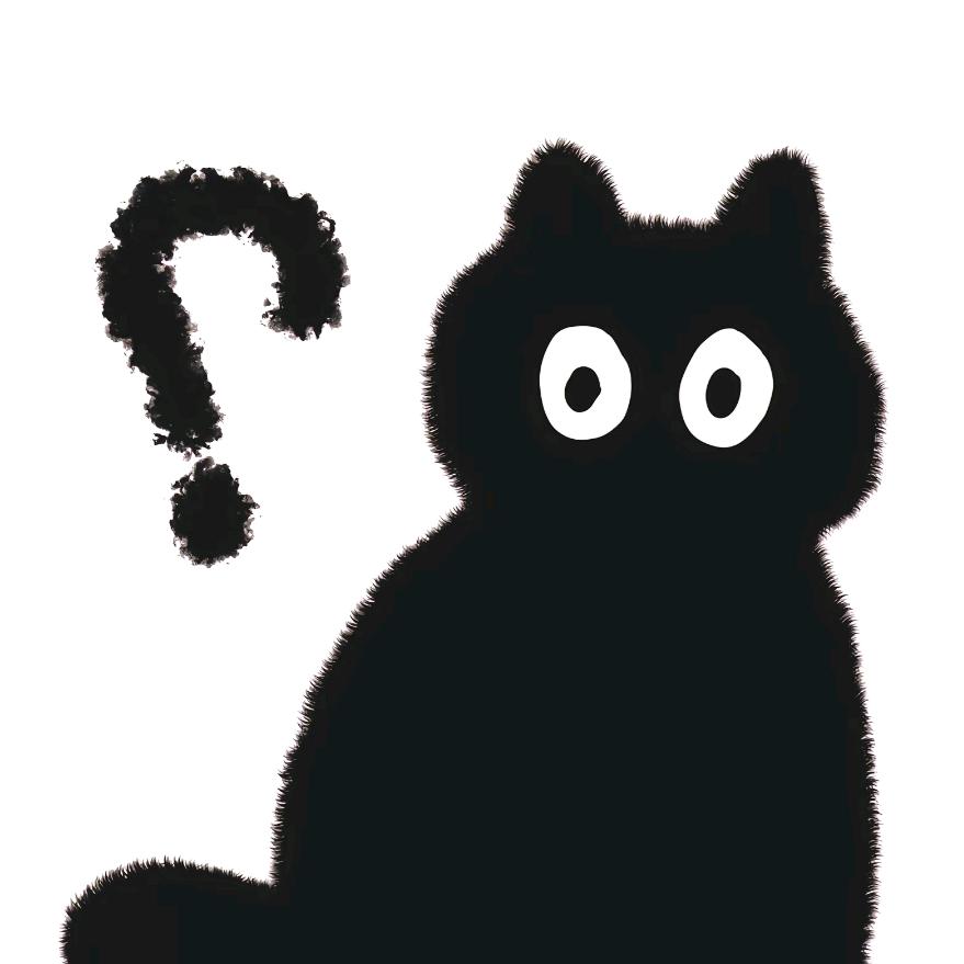 小偷猪怪