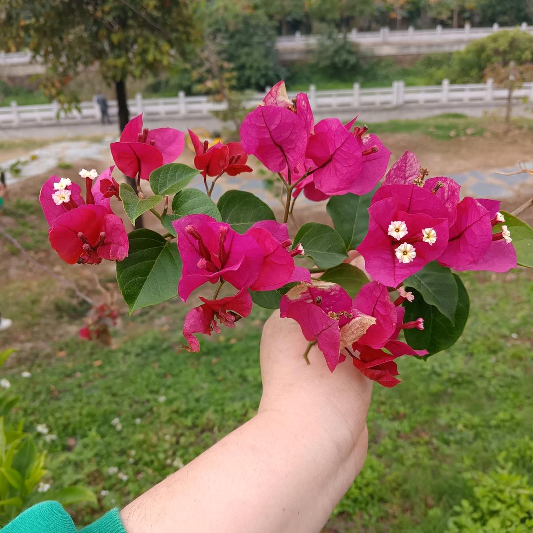 开心快乐，每一天