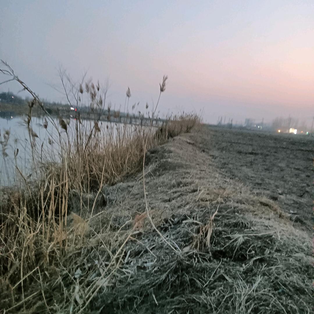 永夜星河里的比目鱼