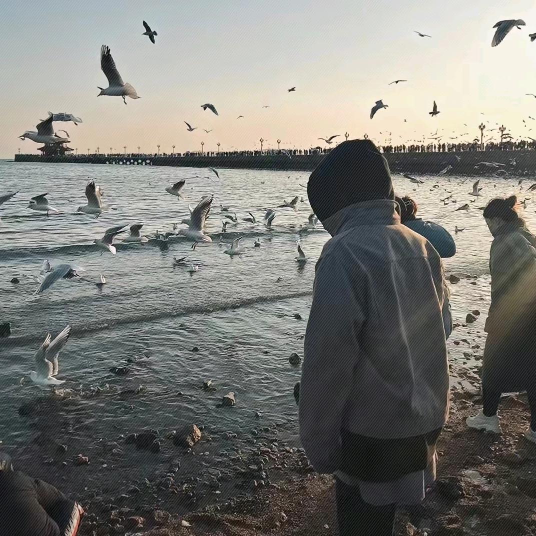莫涵·Marvin