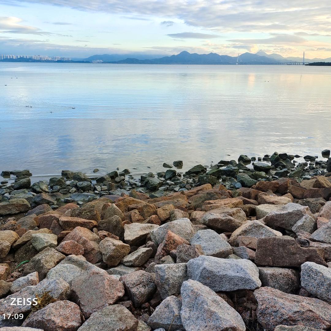 ✨✨那年仲夏✨✨