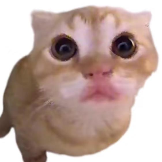 c-c