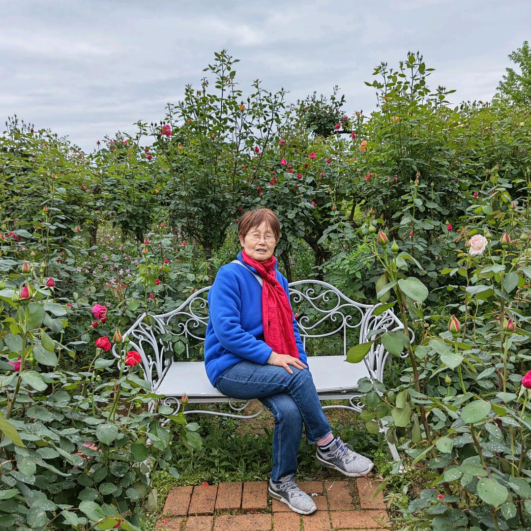 沃尔丰诗雨（谢绝连赞）