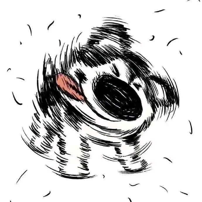 迟雨