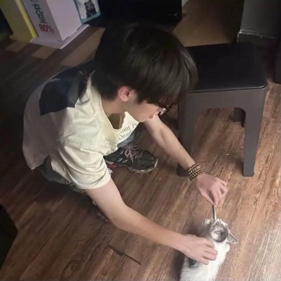 Xkang